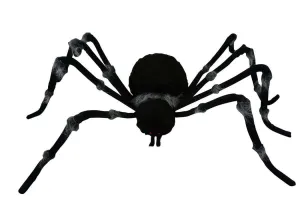 73 inches Grey Trim Black Spider